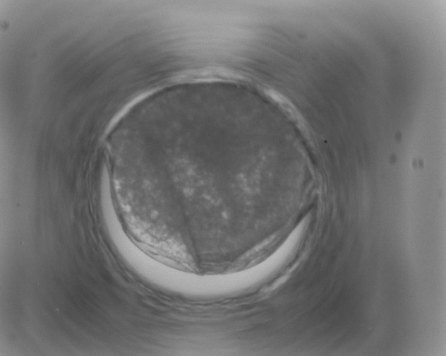 X0000082741457200702240000