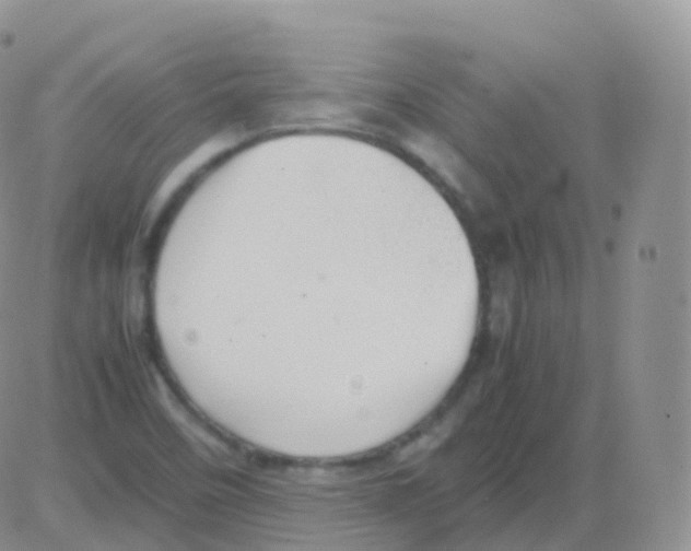 X0000082741458200702240000