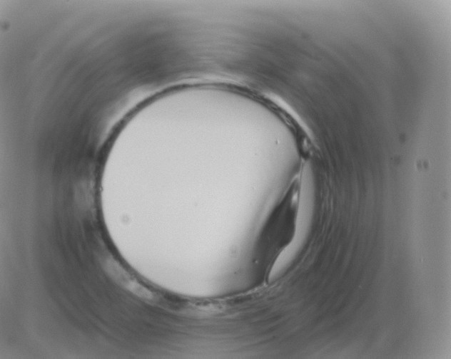 X0000082741460200702240000