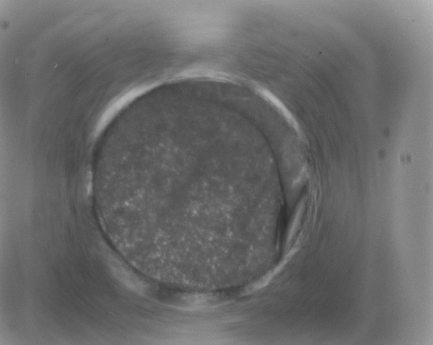 X0000082741461200702240000