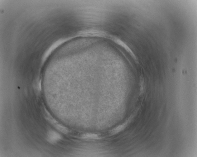 X0000082741462200702240000