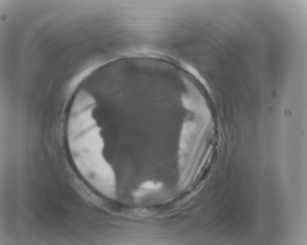 X0000082741463200702240000