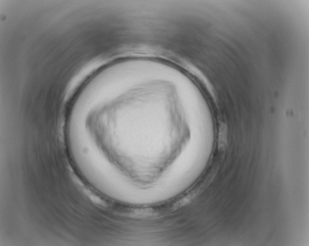 X0000082741464200702240000