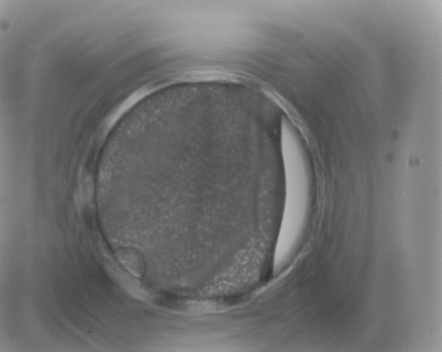 X0000082741465200702240000