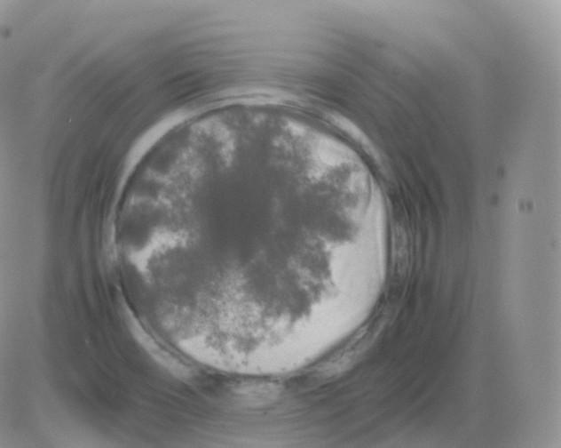 X0000082741466200702240000