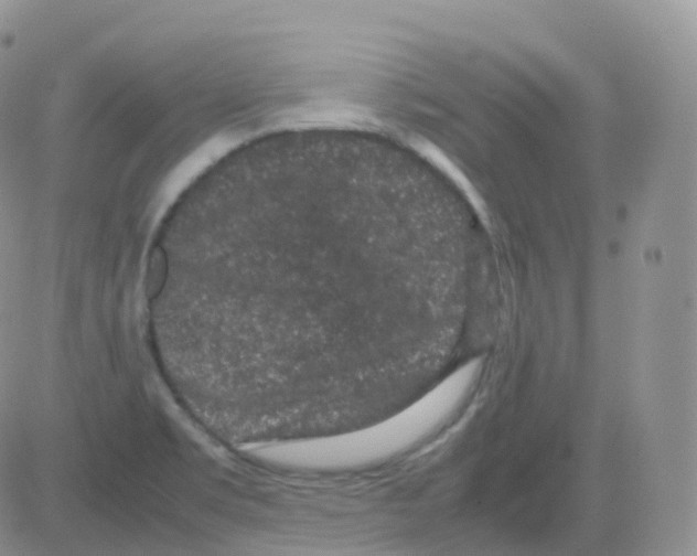 X0000082741469200702240000