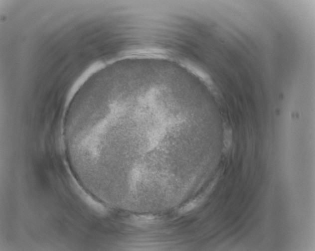 X0000082741470200702240000