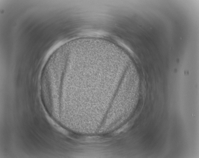 X0000082741471200702240000