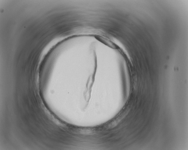 X0000082741472200702240000