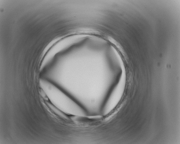 X0000082741473200702240000