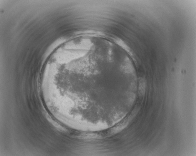 X0000082741474200702240000