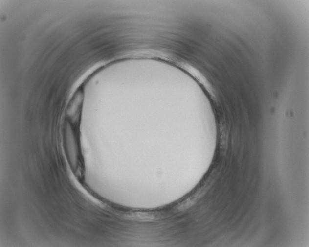 X0000082741476200702240000