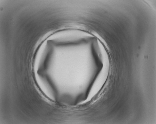 X0000082741477200702240000