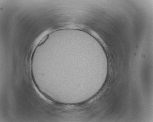 X0000082741479200702240000