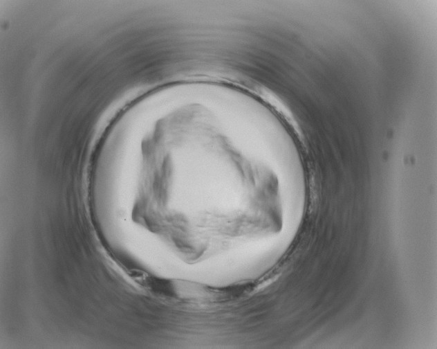 X0000082741480200702240000