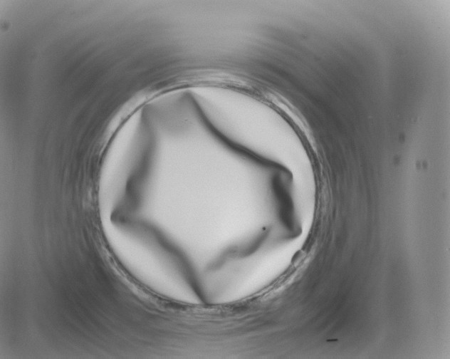 X0000082741481200702240000