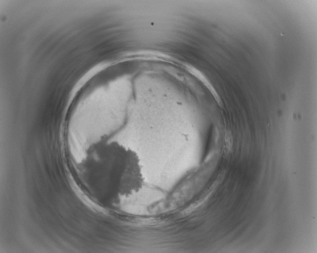 X0000082741482200702240000