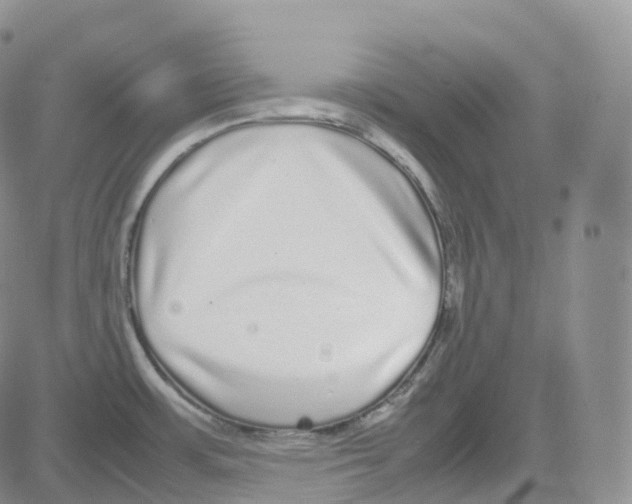 X0000082741483200702240000