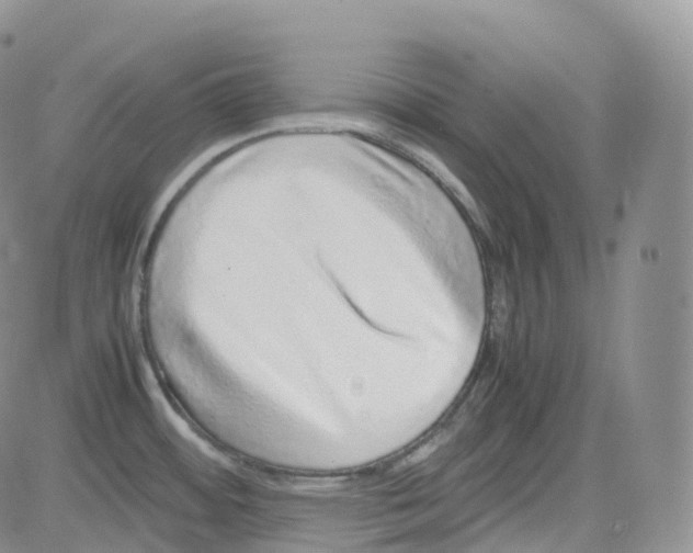 X0000082741484200702240000