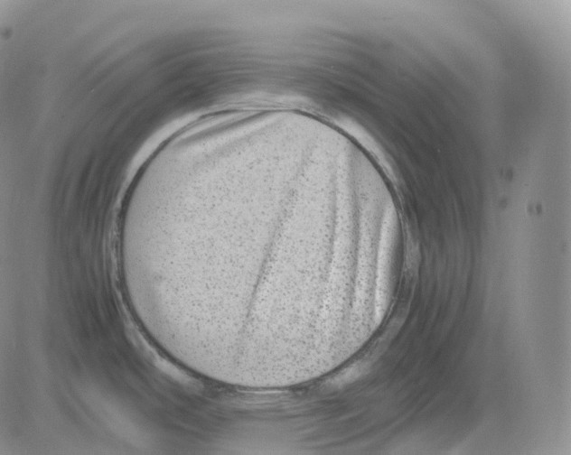 X0000082741486200702240000