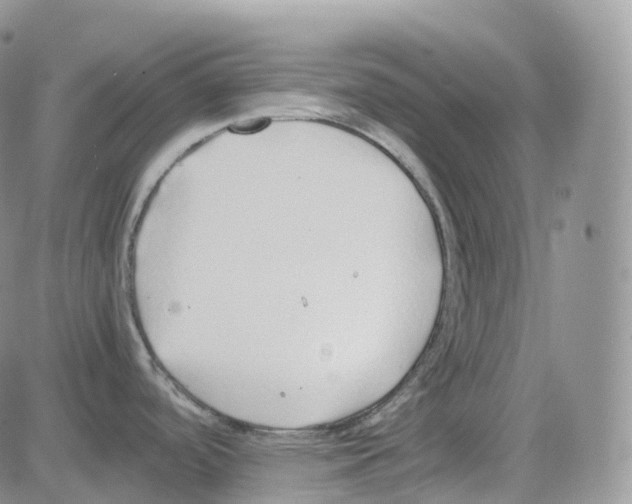 X0000082741488200702240000