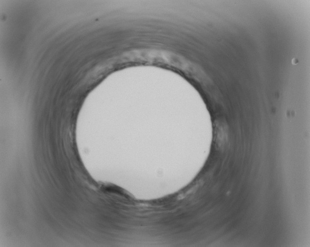 X0000082741489200702232359