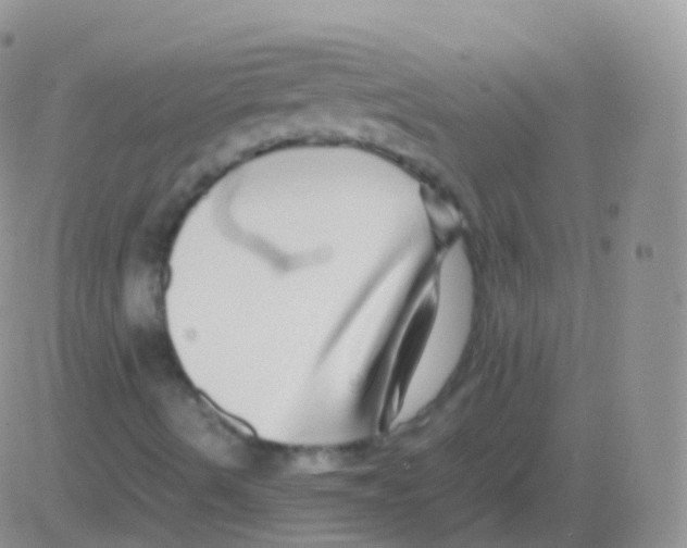 X0000082741490200702232359