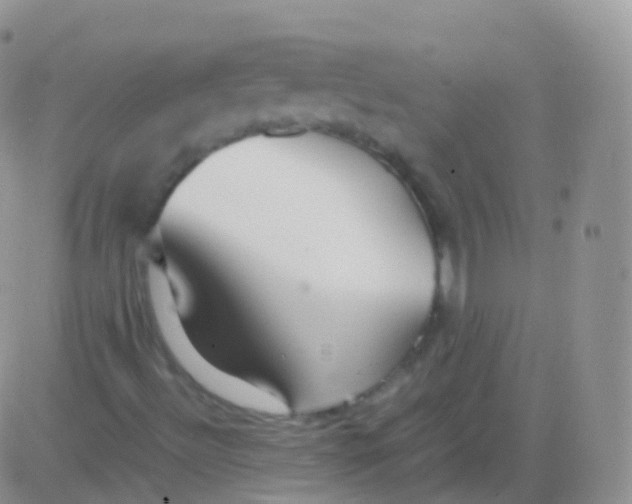 X0000082741492200702232359