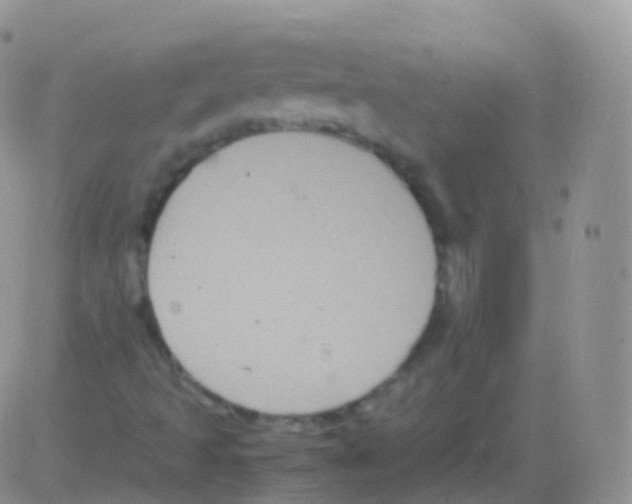 X0000082741493200702232359