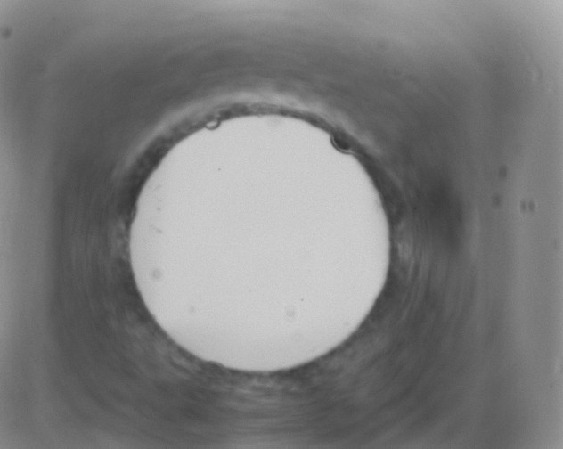 X0000082741495200702232359