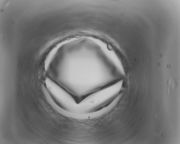 X0000082741496200702232359