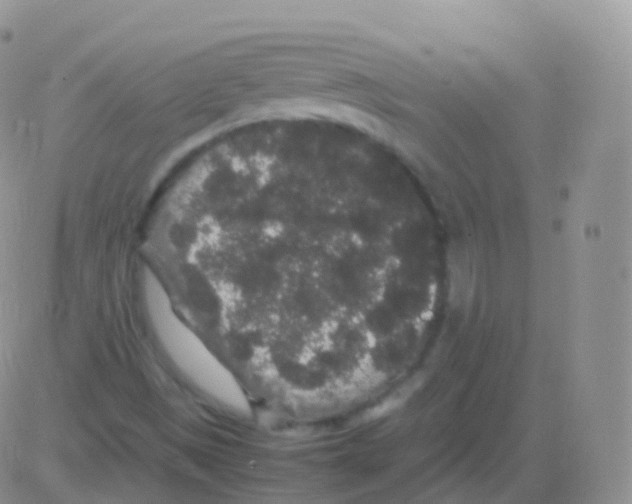 X0000082741497200702232359