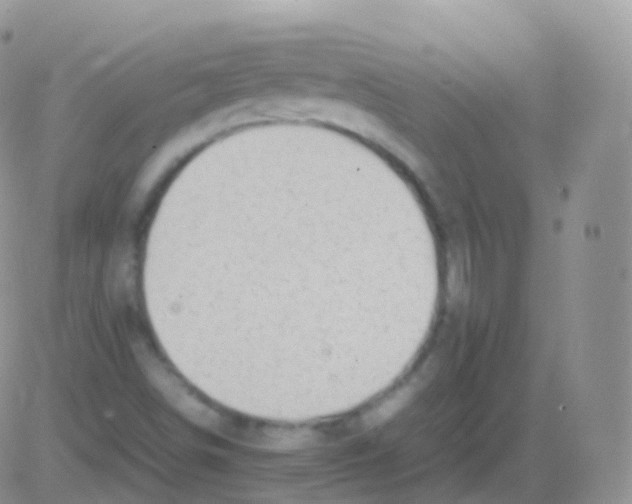 X0000082741498200702232359