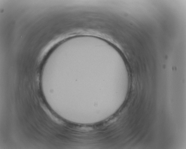 X0000082741503200702232359