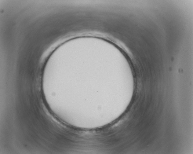 X0000082741504200702232359