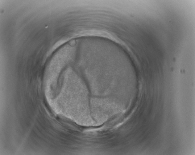 X0000082741505200702232359