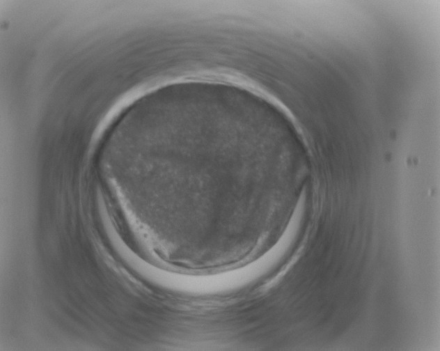 X0000082741506200702232359