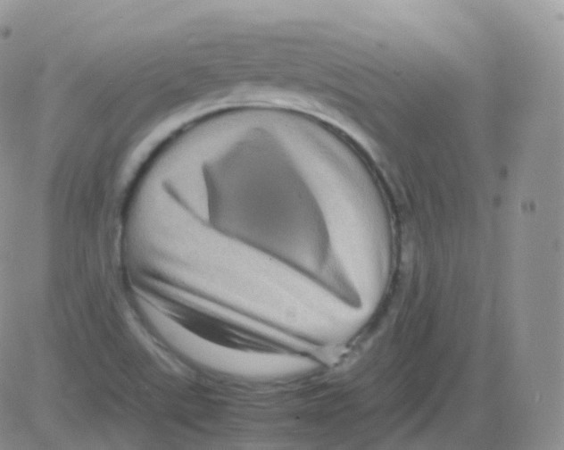 X0000082741507200702232359