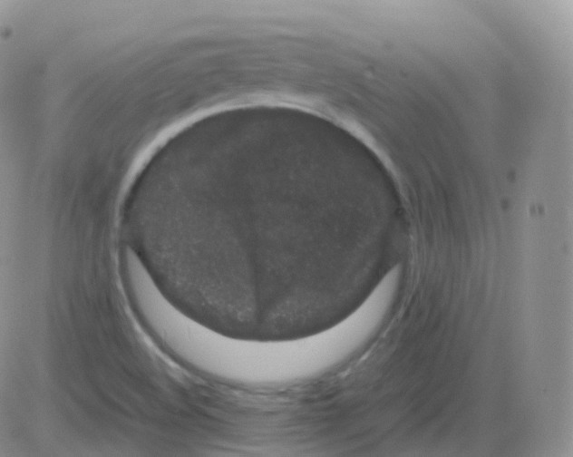 X0000082741508200702232359