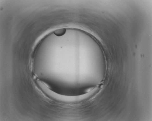 X0000082741510200702232359