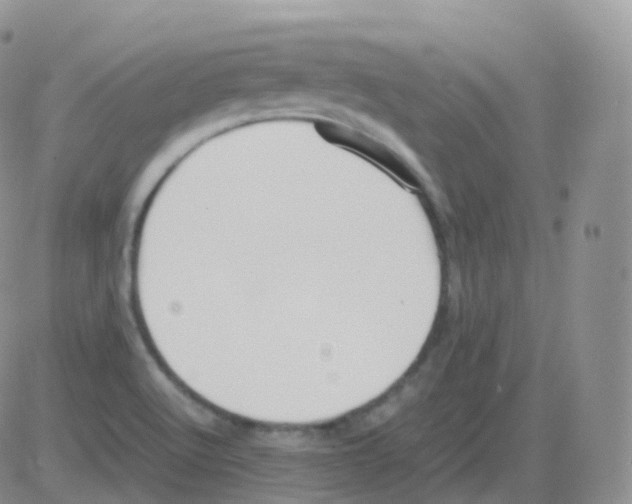 X0000082741512200702232359