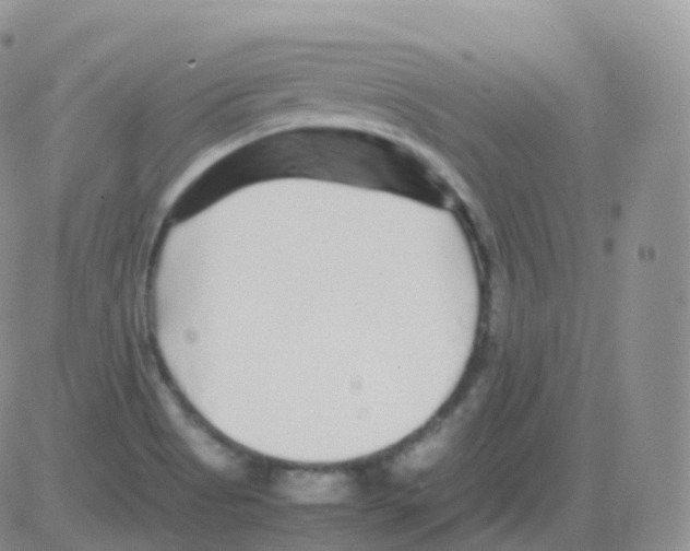 X0000082741513200702232359