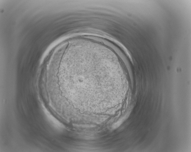 X0000082741514200702232359