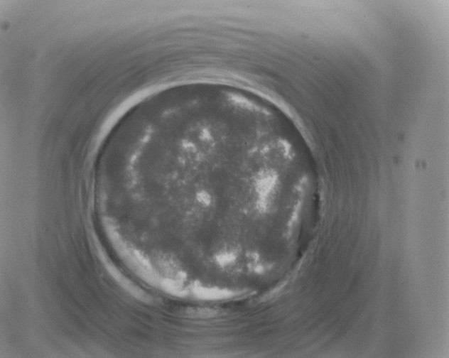 X0000082741515200702232359