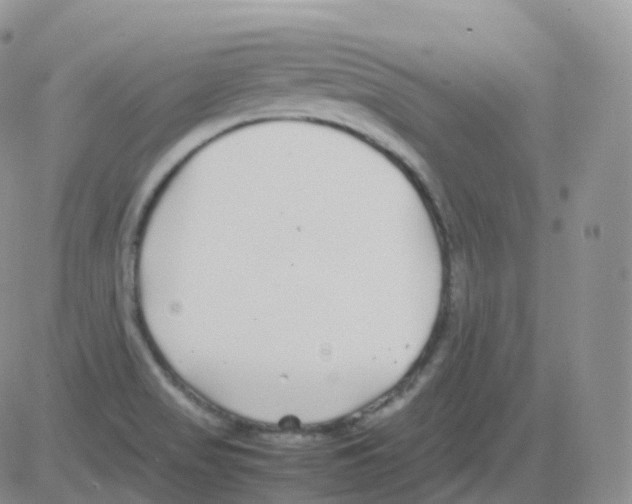 X0000082741517200702232359