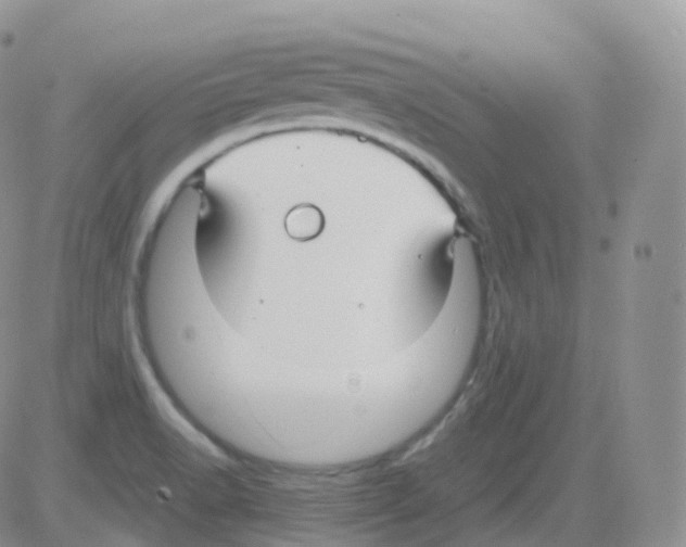 X0000082741518200702232359