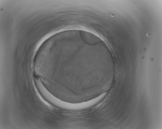 X0000082741519200702232359