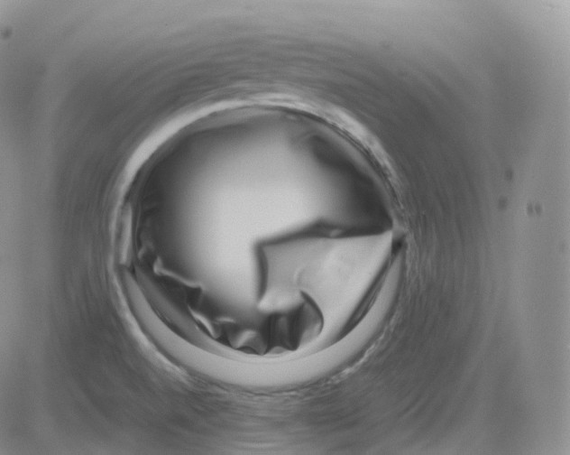 X0000082741520200702232359