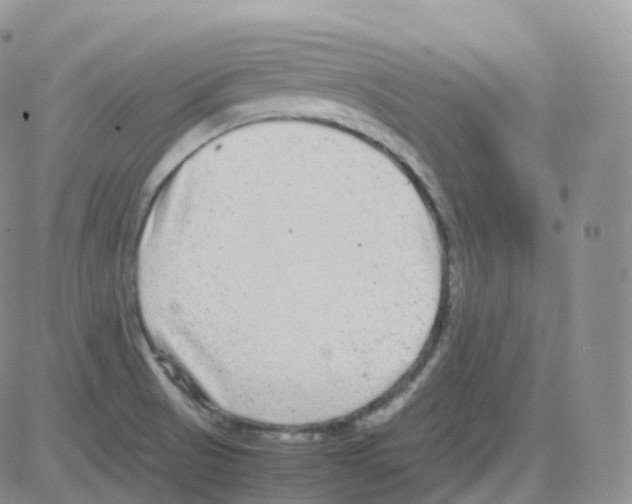 X0000082741521200702232359