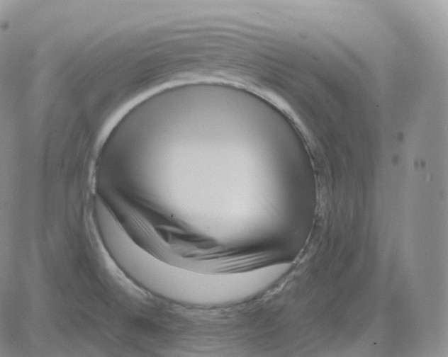 X0000082741524200702232359